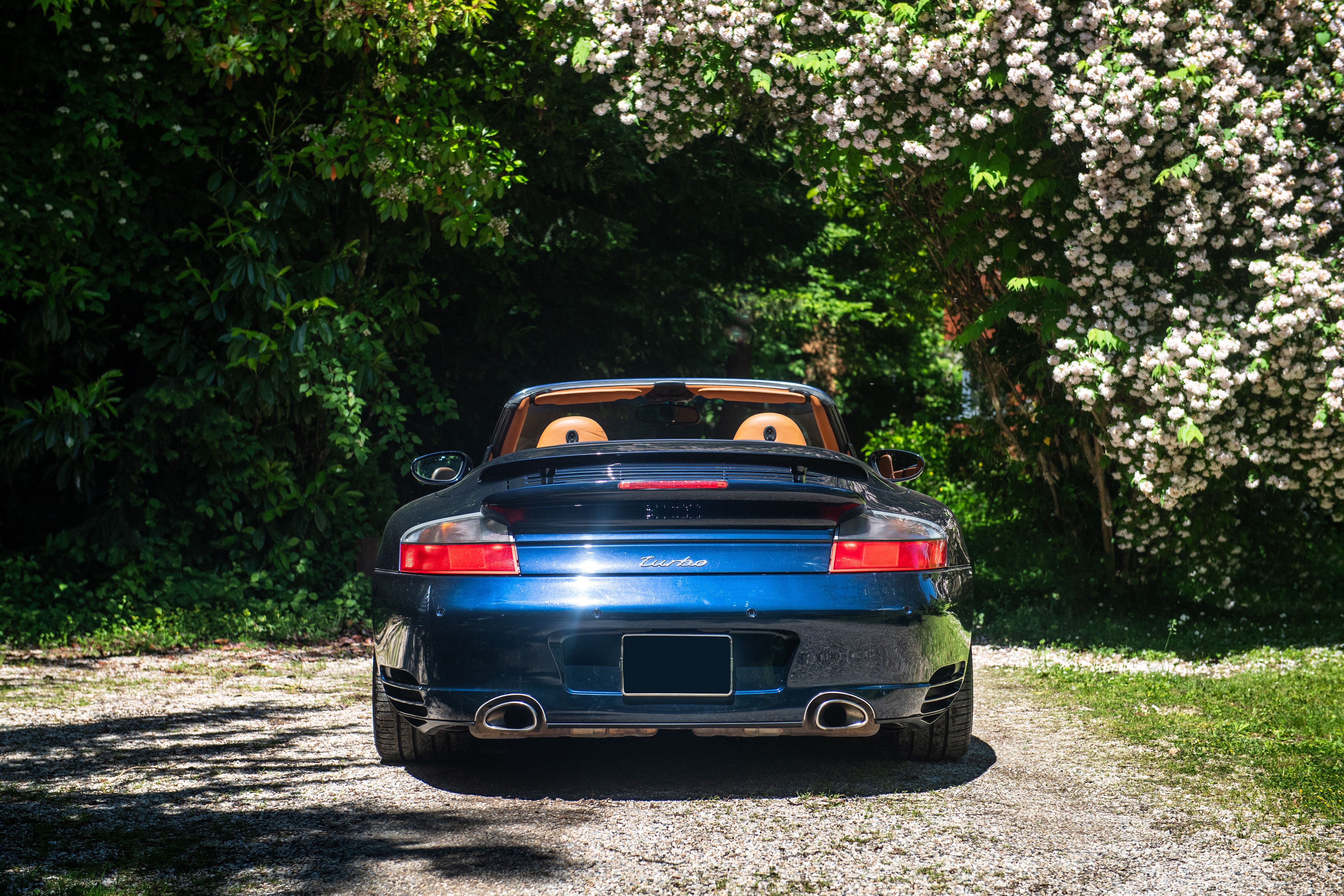 Loaded image